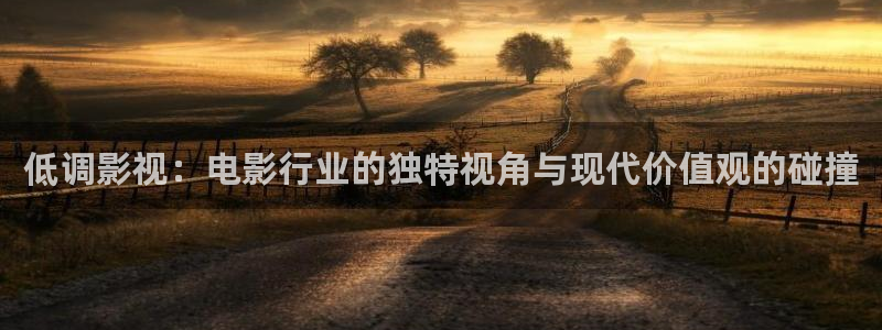 琪琪影院不卡：低调影视：电影行业的独特视角与现代价值观的碰撞