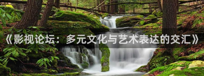 琪琪71影院：《影视论坛：多元文化与艺术表达的交汇》