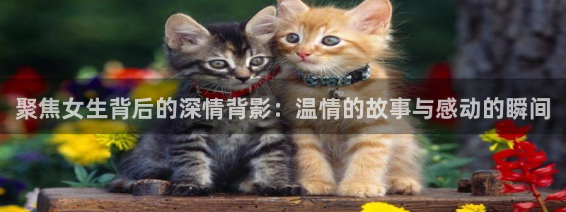 久久琪琪电影院：聚焦女生背后的深情背影：温情的故事与感动的瞬间