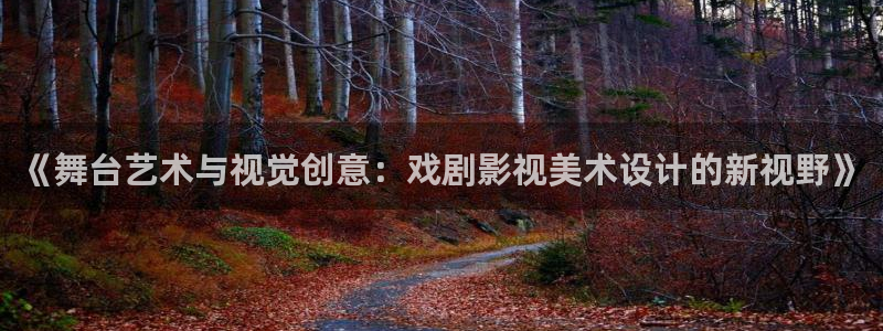 琪琪影院动漫：《舞台艺术与视觉创意：戏剧影视美术设计的新视野》