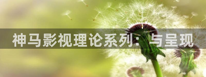 琪琪电影院2023年最新电视剧：神马影视理论系列：与呈现