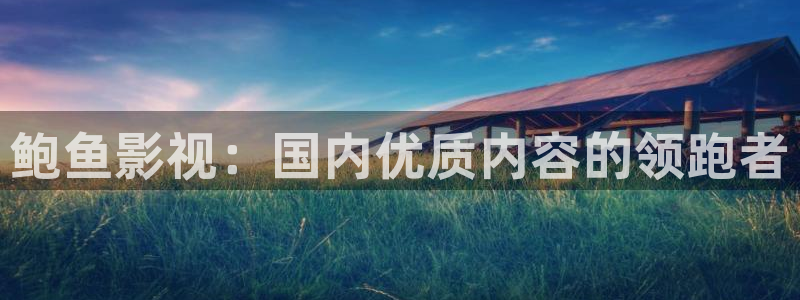 琪琪影院原网址：鲍鱼影视：国内优质内容的领跑者