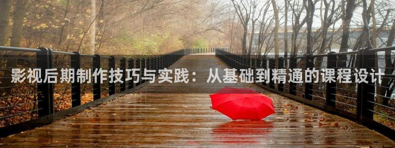 琪琪av影院：影视后期制作技巧与实践：从基础到精通的课程设计